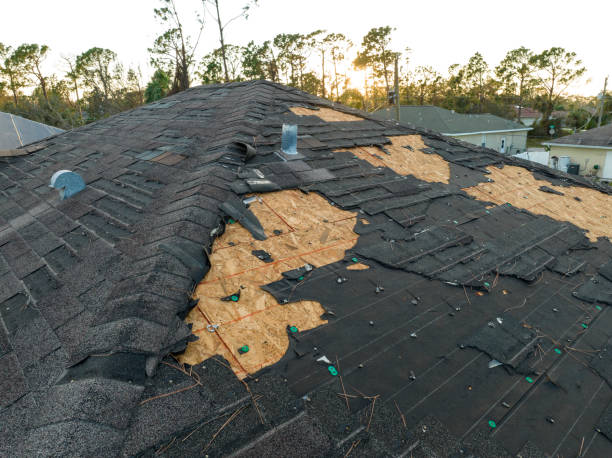 Best Roof Insulation Installation  in Hayden, ID